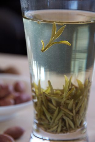 Highland Green Tea